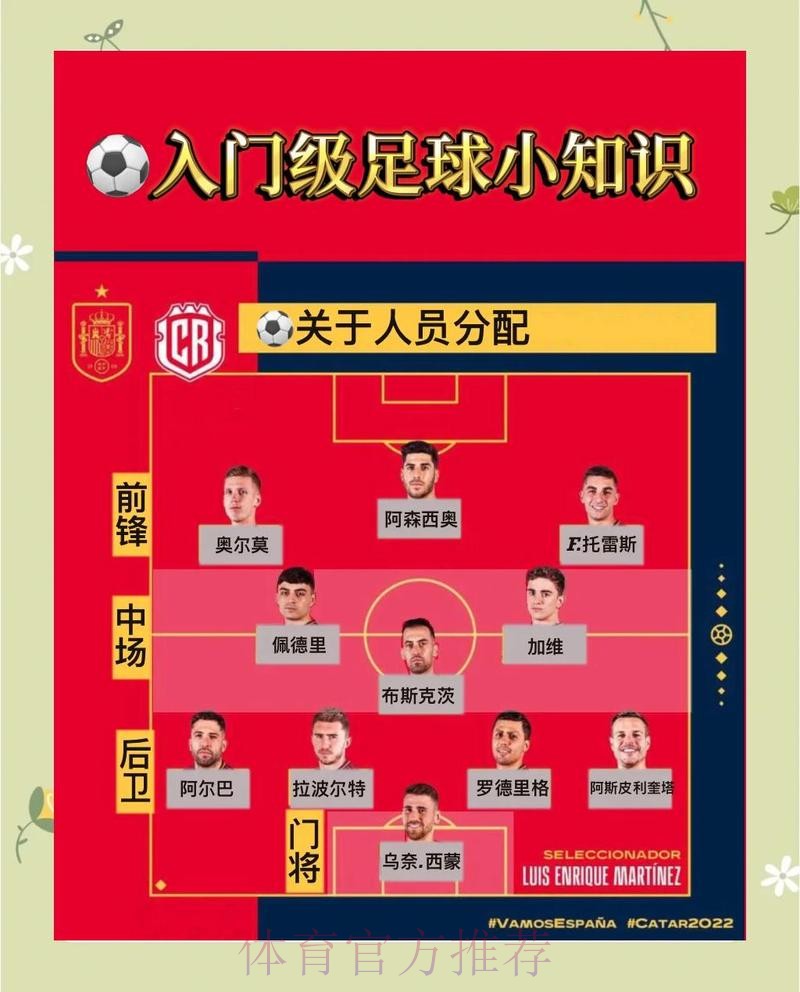 世界杯参赛球队规则